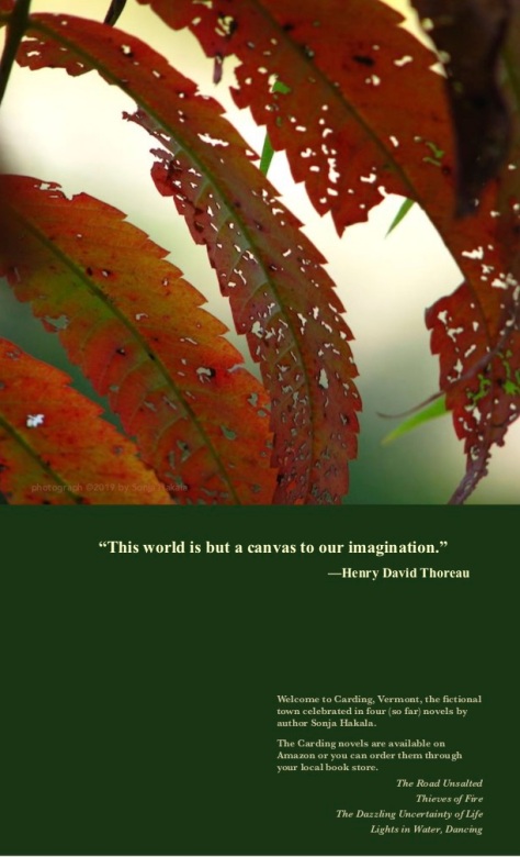 SH-Autumn leaf with Thoreau quote
