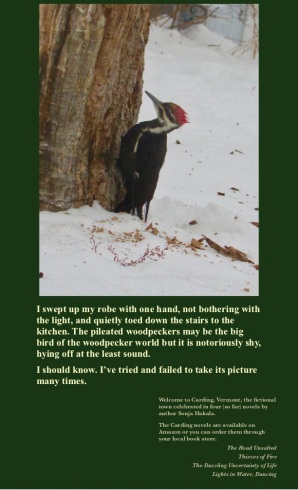 SH-Pileated woodpecker